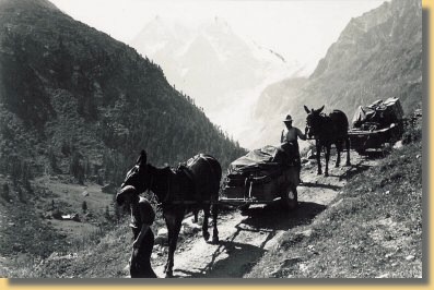 17551-1949