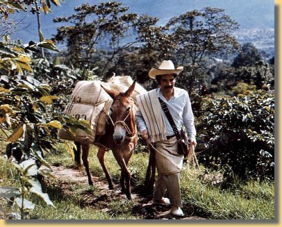 Kaffebauer in Kolumbien