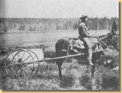 Dieses von einem Muli gezogene Gert ist ein Odometer (Haydon Expedition 1872)