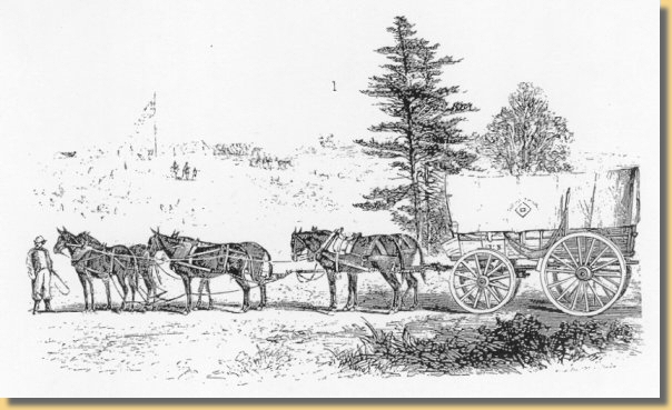 Dieses Sechsspnner-Muliteam wurde 1861 in Maryland zusammengestellt.