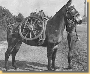 "Army Mule" im 2. Weltkrieg
