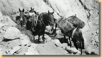 Heutransport Mt. Whitney  ca. 1950