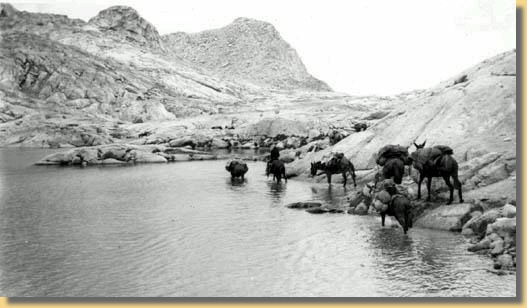 Frei folgende Packmulis Mt. Whitney ca. 1950