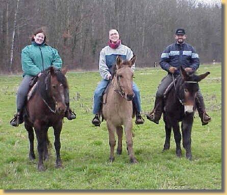 Ghinda (Criollo 15 J.), Luzi (Norw./Quart.-Franz.Esel 5 J.), Lisbeth (Hafl.-1/2 Poitou 3 J.) unter Thomas Reichmann, 2001