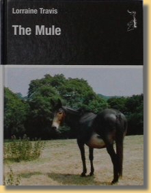 The Mule by Lorraine Travis